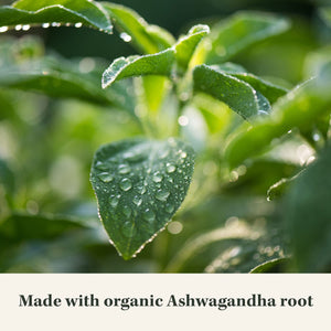 Gaia Herbs Ashwagandha Root 120 Capsulas
