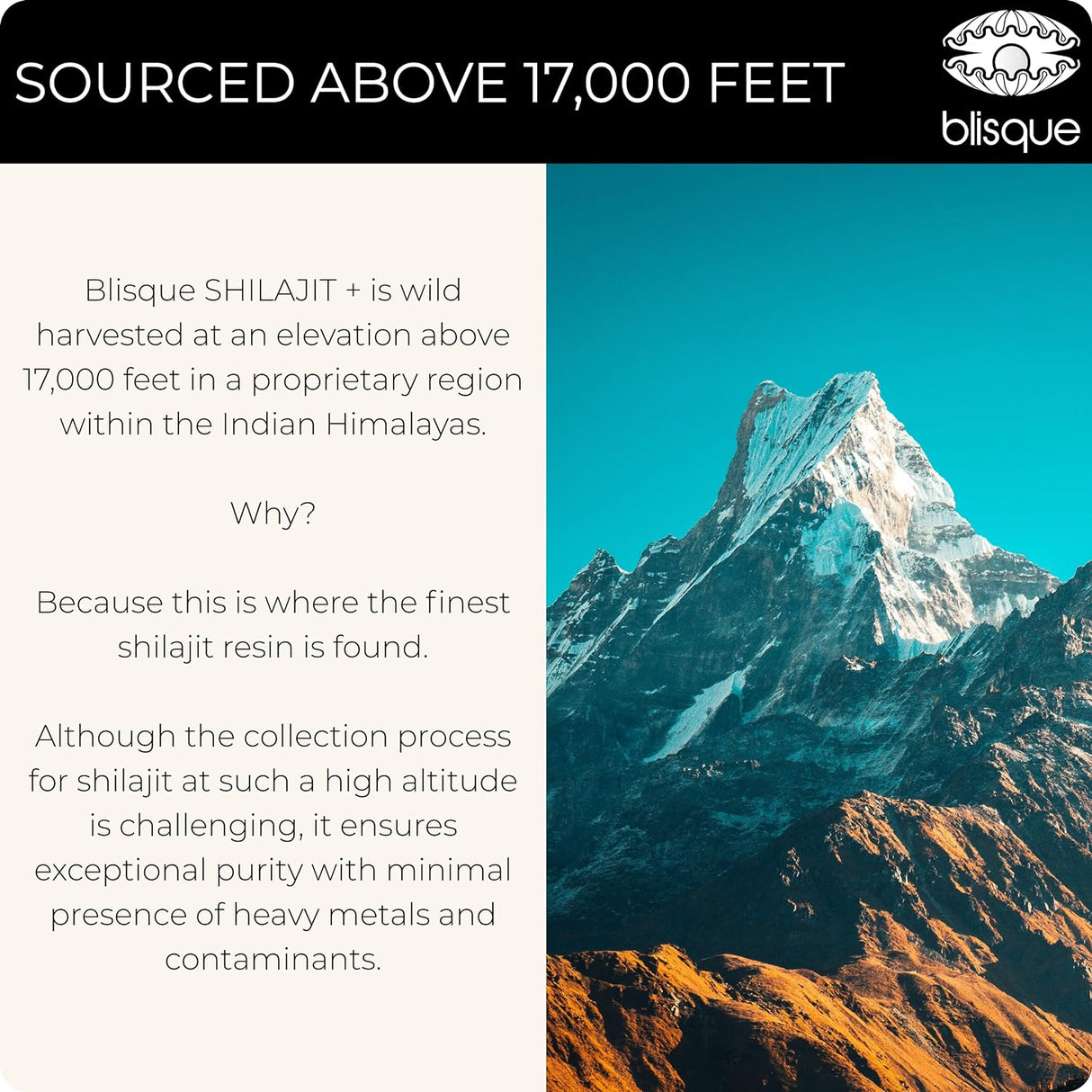 Blisque Himalayan Shilajit Resin Mineral Drops 60Ml.