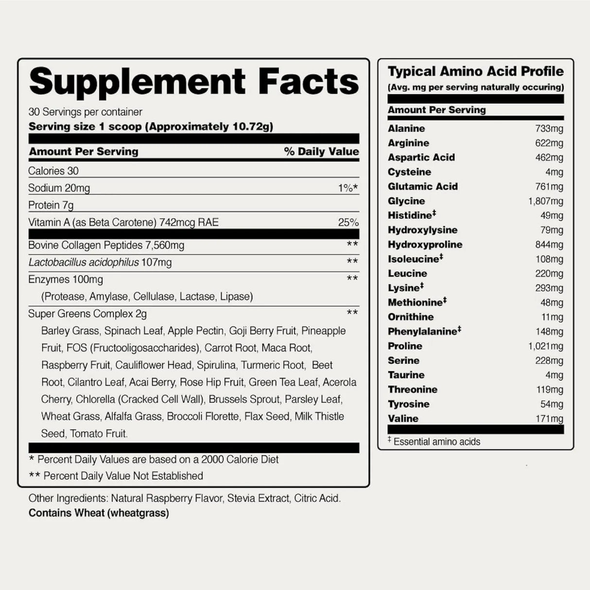 SNAP - Snap Super Greens Powder with Collagen 30 Servicios 321Gr. - The Red Vitamin MX - Suplementos Alimenticios - {{ shop.shopifyCountryName }}