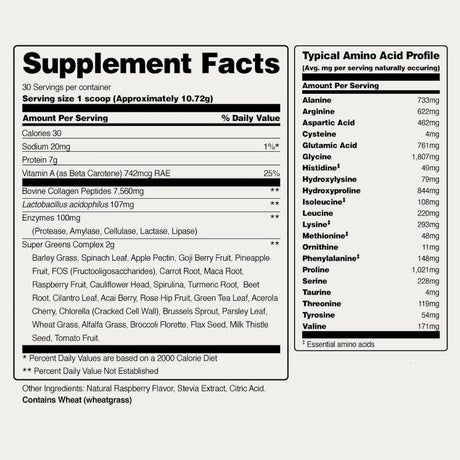 SNAP - Snap Super Greens Powder with Collagen 30 Servicios 321Gr. - The Red Vitamin MX - Suplementos Alimenticios - {{ shop.shopifyCountryName }}
