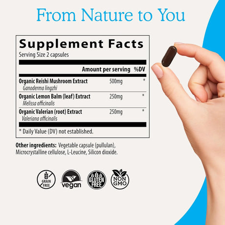REAL MUSHROOMS - Real Mushrooms RealRest 60 Capsulas - The Red Vitamin MX - Suplementos Alimenticios - {{ shop.shopifyCountryName }}