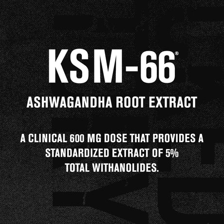Jacked Factory Ashwagandha Root Extract KSM-66 600Mg. 60 Capsulas