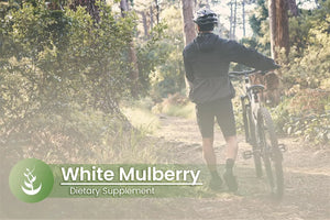 PURE ORIGINAL INGREDIENTS - Pure Original Ingredients White Mulberry Leaf Extract 100 Capsulas - The Red Vitamin MX - Suplementos Alimenticios - {{ shop.shopifyCountryName }}
