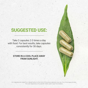 SECRETS OF THE TRIBE - Secrets of the Tribe Spearmint 1000Mg. 120 Capsulas - The Red Vitamin MX - Suplementos Alimenticios - {{ shop.shopifyCountryName }}