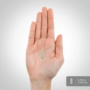 PIPING ROCK - Piping Rock Kale Extract 800Mg. 120 Capsulas - The Red Vitamin MX - Suplementos Alimenticios - {{ shop.shopifyCountryName }}