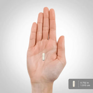 PIPING ROCK - Piping Rock White Kidney Bean Extract 6000Mg. 150 Capsulas - The Red Vitamin MX - Suplementos Alimenticios - {{ shop.shopifyCountryName }}