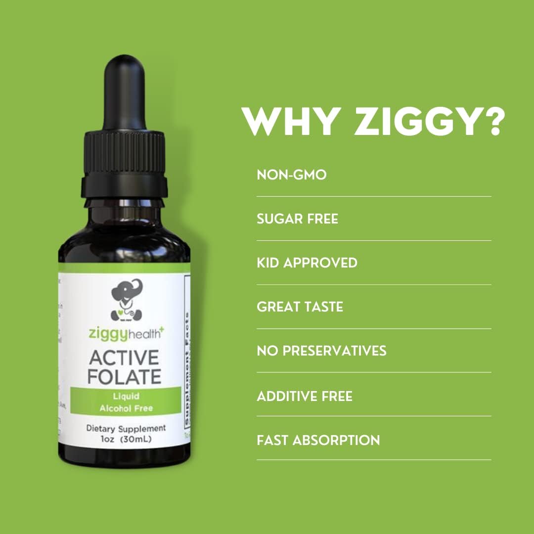 Ziggy Baby Active Folate Pure Liquid Extract 1 Fl.Oz.