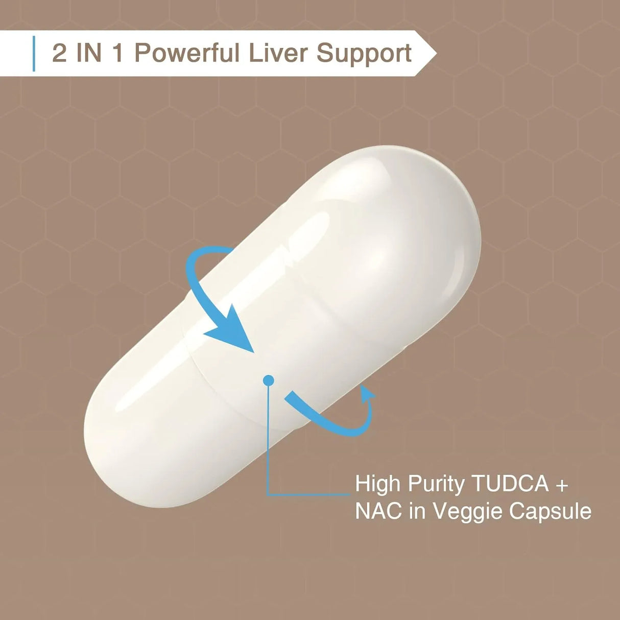 ZINGICIN - Zingicin TUDCA with NAC 1200Mg. 60 Capsulas - The Red Vitamin MX - Suplementos Alimenticios - {{ shop.shopifyCountryName }}
