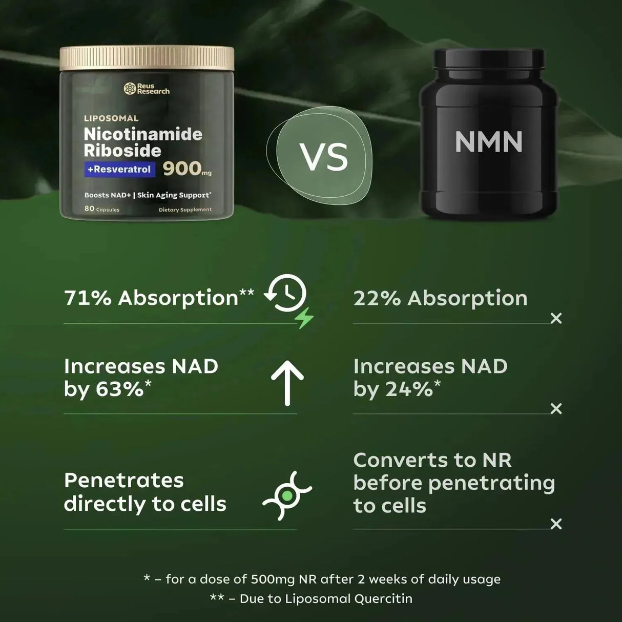 REUS RESEARCH - Reus Research Liposomal NAD Supplement Nueva Imagen 60 Capsulas - The Red Vitamin MX - Suplementos Alimenticios - {{ shop.shopifyCountryName }}