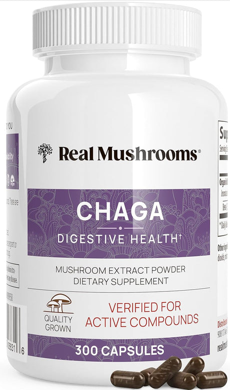 Real Mushrooms Chaga