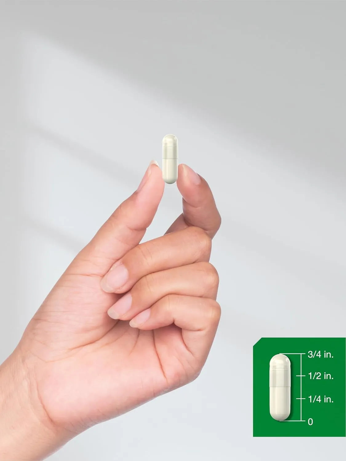 HORBAACH - Horbaach White Kidney Bean Extract 6000Mg. 400 Capsulas - The Red Vitamin MX - Suplementos Alimenticios - {{ shop.shopifyCountryName }}