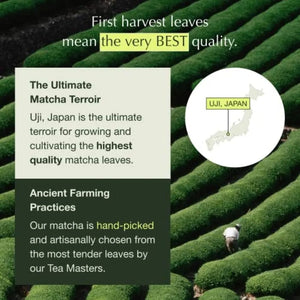 ENCHA - Encha Ceremonial Grade Matcha Powder 500Gr. - The Red Vitamin MX - Suplementos Alimenticios - {{ shop.shopifyCountryName }}