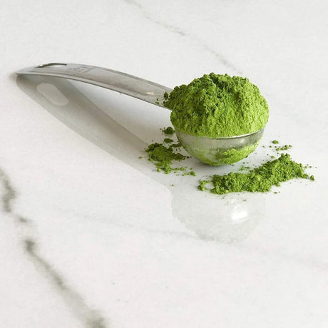 MIYA - Miya Organic Premium Ceremonial Japanese Matcha Green Tea Powder 100Gr. - The Red Vitamin MX - Suplementos Alimenticios - {{ shop.shopifyCountryName }}