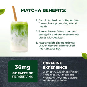 TENZO - Tenzo Matcha Green Tea Powder 400Gr. - The Red Vitamin MX - Suplementos Alimenticios - {{ shop.shopifyCountryName }}