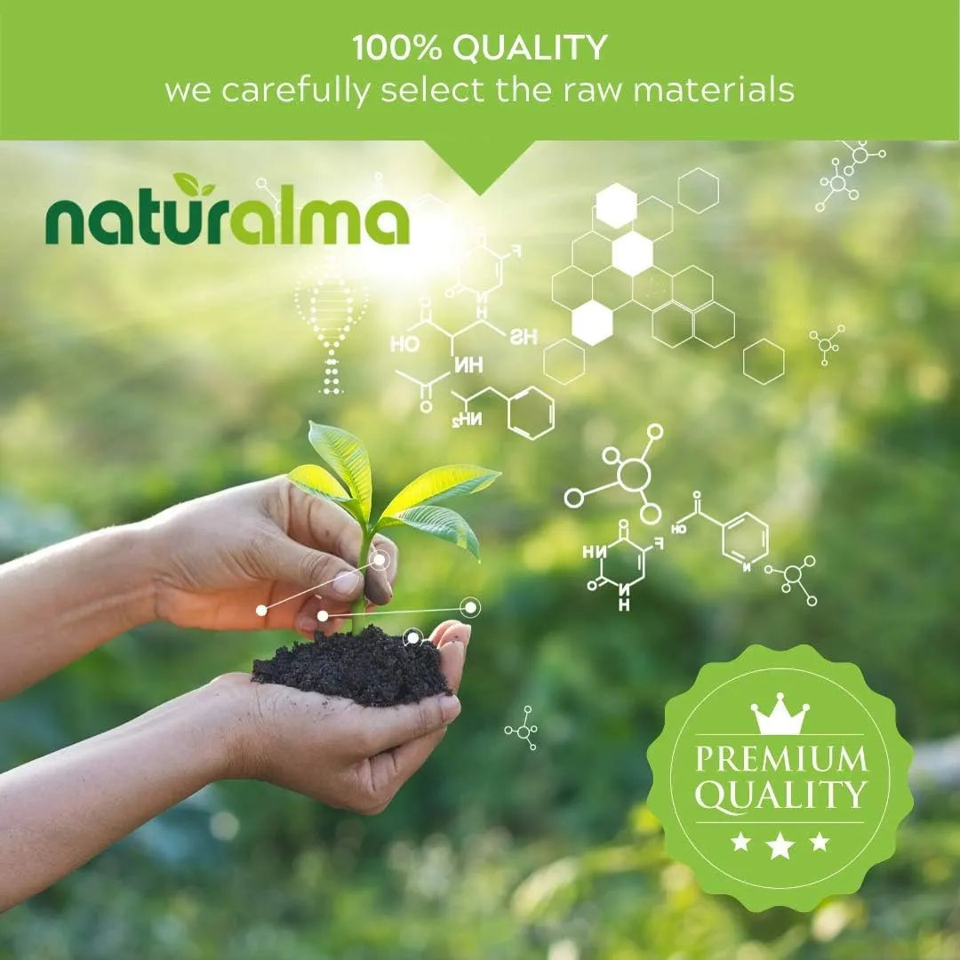 NATURALMA - Naturalma Milk Thistle Alcohol-Free Tincture 120Ml. - The Red Vitamin MX - Suplementos Alimenticios - {{ shop.shopifyCountryName }}