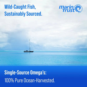 NUTRACHAMPS - NutraChamps Omega 3 Fish Oil 3600Mg. with EPA & DHA 180 Capsulas Blandas - The Red Vitamin MX - Suplementos Alimenticios - {{ shop.shopifyCountryName }}