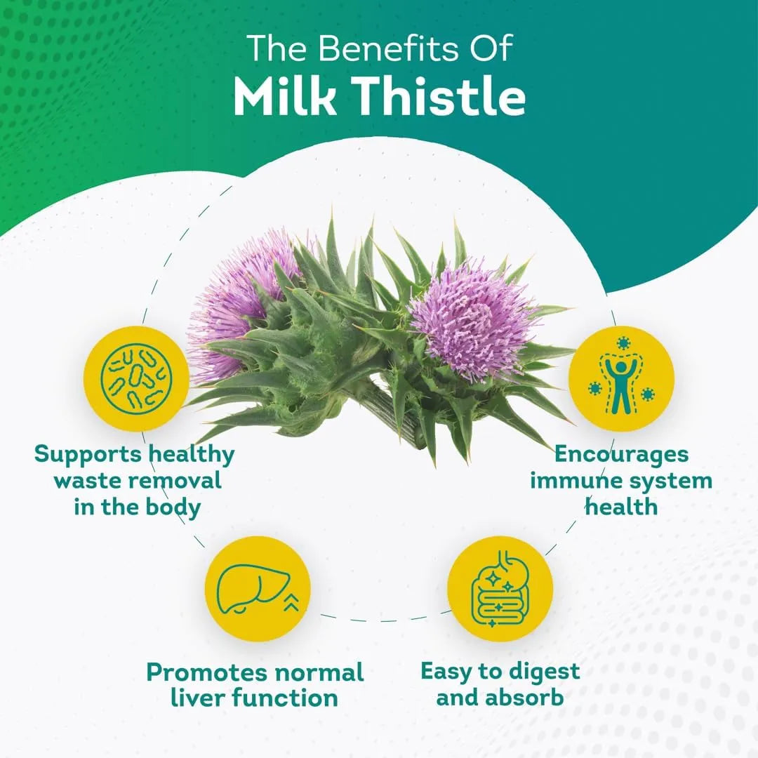 PUREPREMIUM SUPPLEMENTS - PurePremium Milk Thistle Supplement with Silymarin 450Mg. 120 Tabletas - The Red Vitamin MX - Suplementos Alimenticios - {{ shop.shopifyCountryName }}