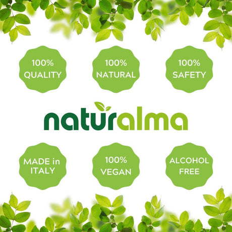 Naturalma Ginkgo biloba Leaf Alcohol-Free Tincture 120Ml.