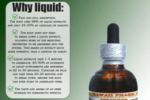 HAWAIIPHARM - Hawaii Pharm Shiitake Alcohol-Free Liquid Extract 2 Fl.Oz. - The Red Vitamin MX - Suplementos Alimenticios - {{ shop.shopifyCountryName }}