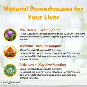 NATURAL WELLNESS - Natural Wellness Milk Thistle with Artichoke & Turmeric 90 Capsulas - The Red Vitamin MX - Suplementos Alimenticios - {{ shop.shopifyCountryName }}