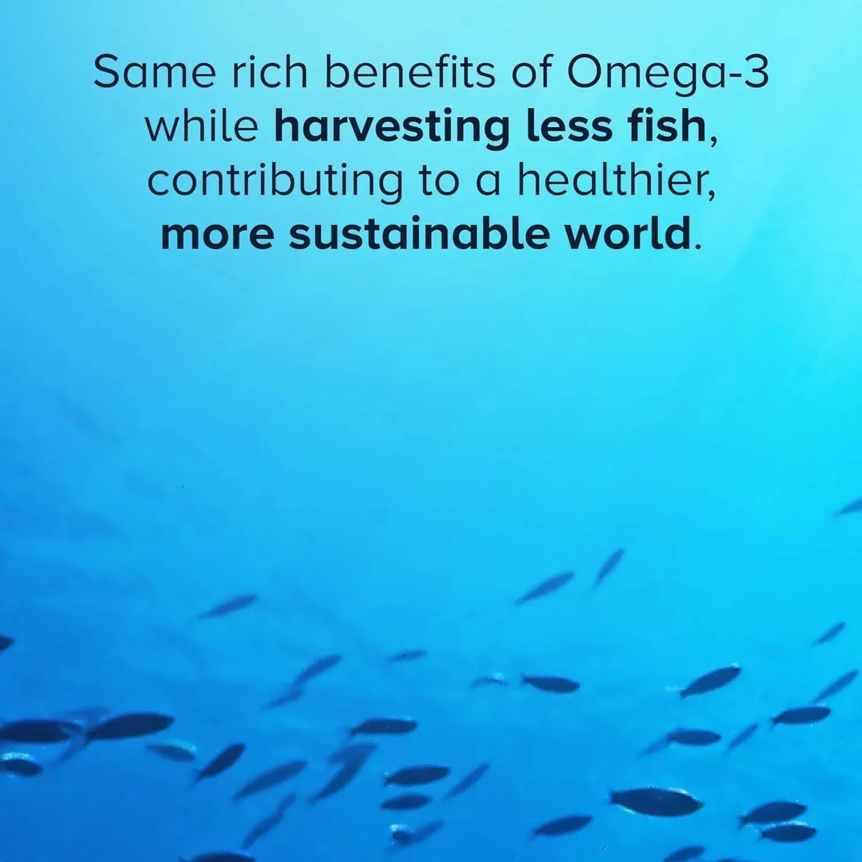 QUNOL - Qunol Advanced Omega 3 Krill and Fish Oil Complex 60 Capsulas Blandas - The Red Vitamin MX - Suplementos Alimenticios - {{ shop.shopifyCountryName }}