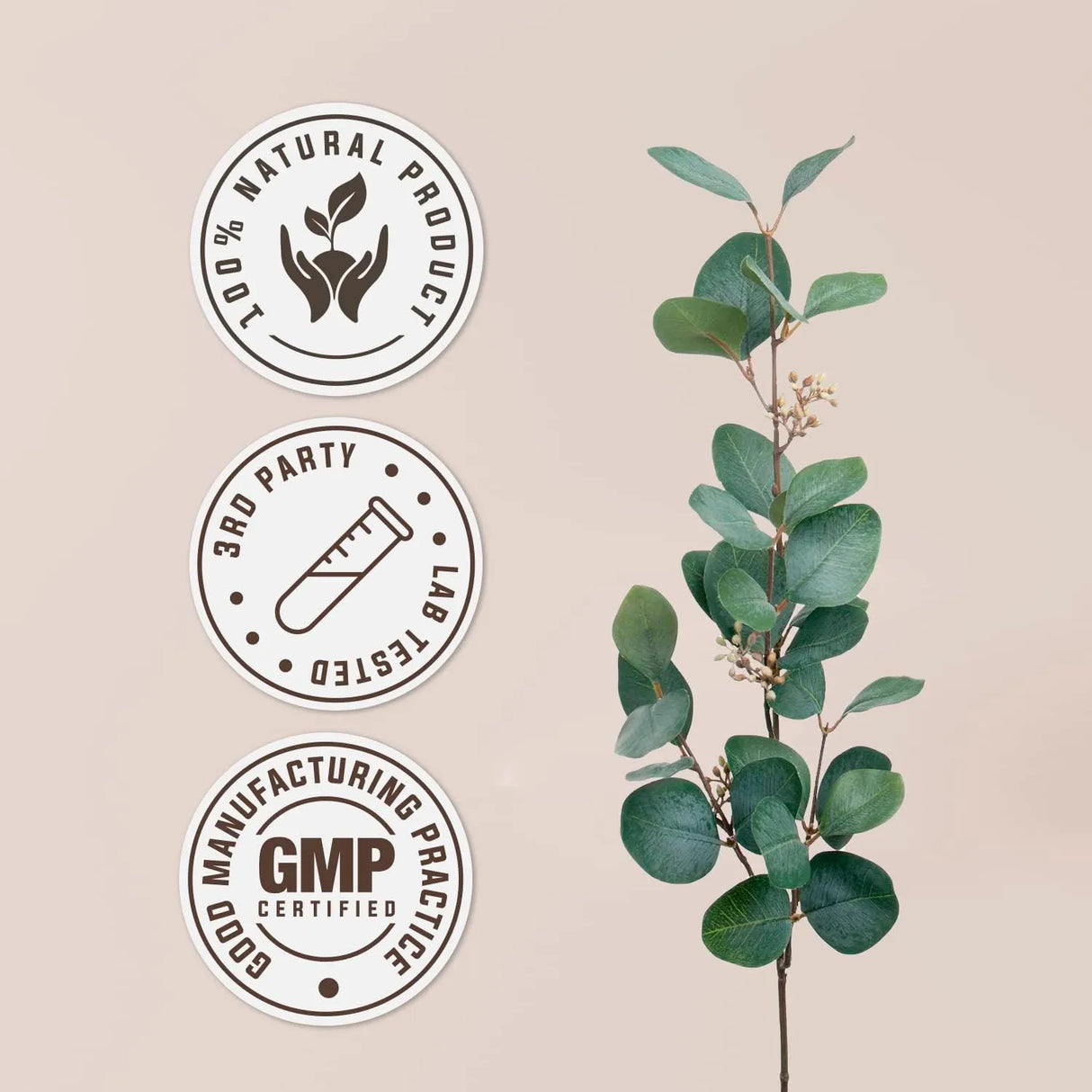 GARDEN ORGANICS - Garden Organics White Willow USDA Organic Alcohol-Free Extract 4 Fl.Oz. - The Red Vitamin MX - Suplementos Alimenticios - {{ shop.shopifyCountryName }}