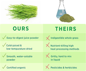 PURE SYNERGY - PURE SYNERGY Organic Wheat Grass Juice Powder 150Gr. - The Red Vitamin MX - Suplementos Alimenticios - {{ shop.shopifyCountryName }}