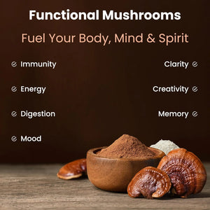 NUTRACHAMPS - NutraChamps Organic Mushroom Powder 10-in-1 Complex 226Gr. - The Red Vitamin MX - Suplementos Alimenticios - {{ shop.shopifyCountryName }}
