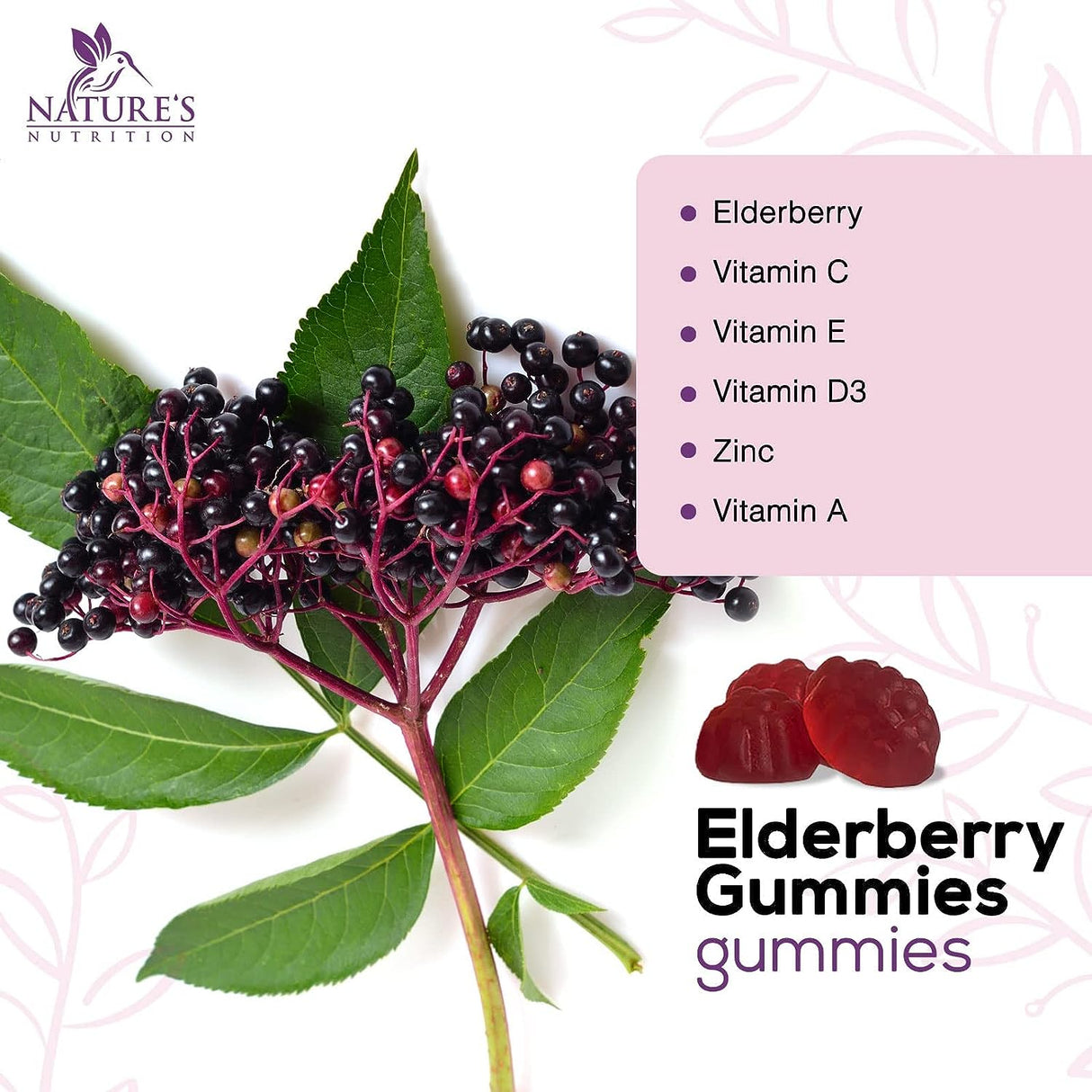 Nature's Nutrition Premium Sambucus Elderberry Gummies 60 Gomitas