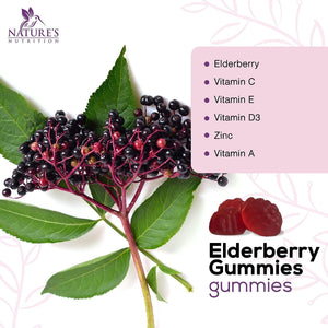 Nature's Nutrition Premium Sambucus Elderberry Gummies 120 Gomitas