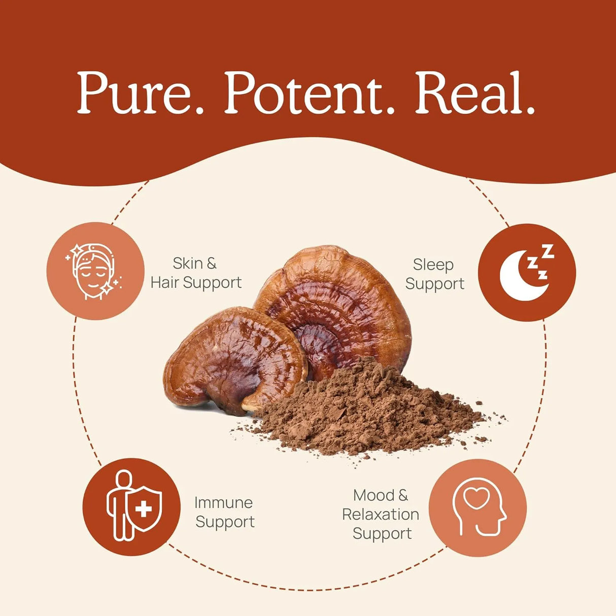 REAL MUSHROOMS - Real Mushrooms Reishi Powder 100 Servicios 100Gr. - The Red Vitamin MX - Suplementos Alimenticios - {{ shop.shopifyCountryName }}