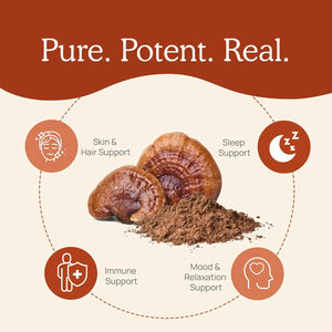 REAL MUSHROOMS - Real Mushrooms Reishi Powder 100 Servicios 100Gr. - The Red Vitamin MX - Suplementos Alimenticios - {{ shop.shopifyCountryName }}