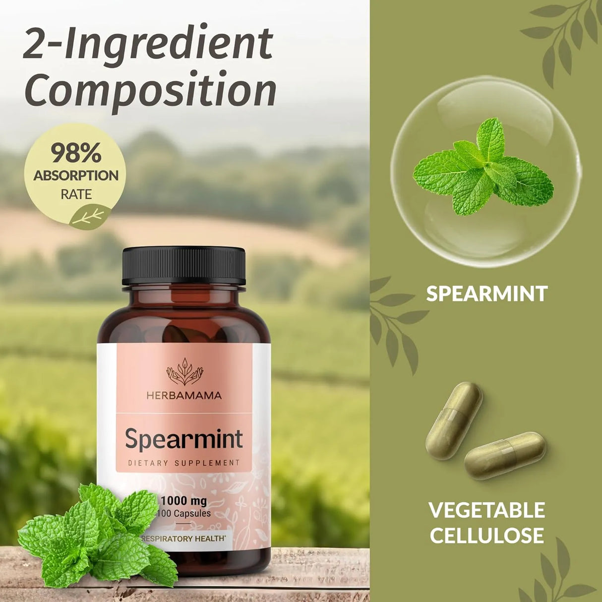 HERBAMAMA - HERBAMAMA Spearmint Leaf 1000Mg. 100 Capsulas - The Red Vitamin MX - Suplementos Alimenticios - {{ shop.shopifyCountryName }}