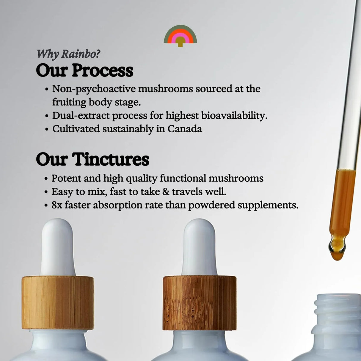 RAINBO - Rainbo Lion's Mane Mushroom Tincture 3.4 Fl.Oz. - The Red Vitamin MX - Suplementos Alimenticios - {{ shop.shopifyCountryName }}