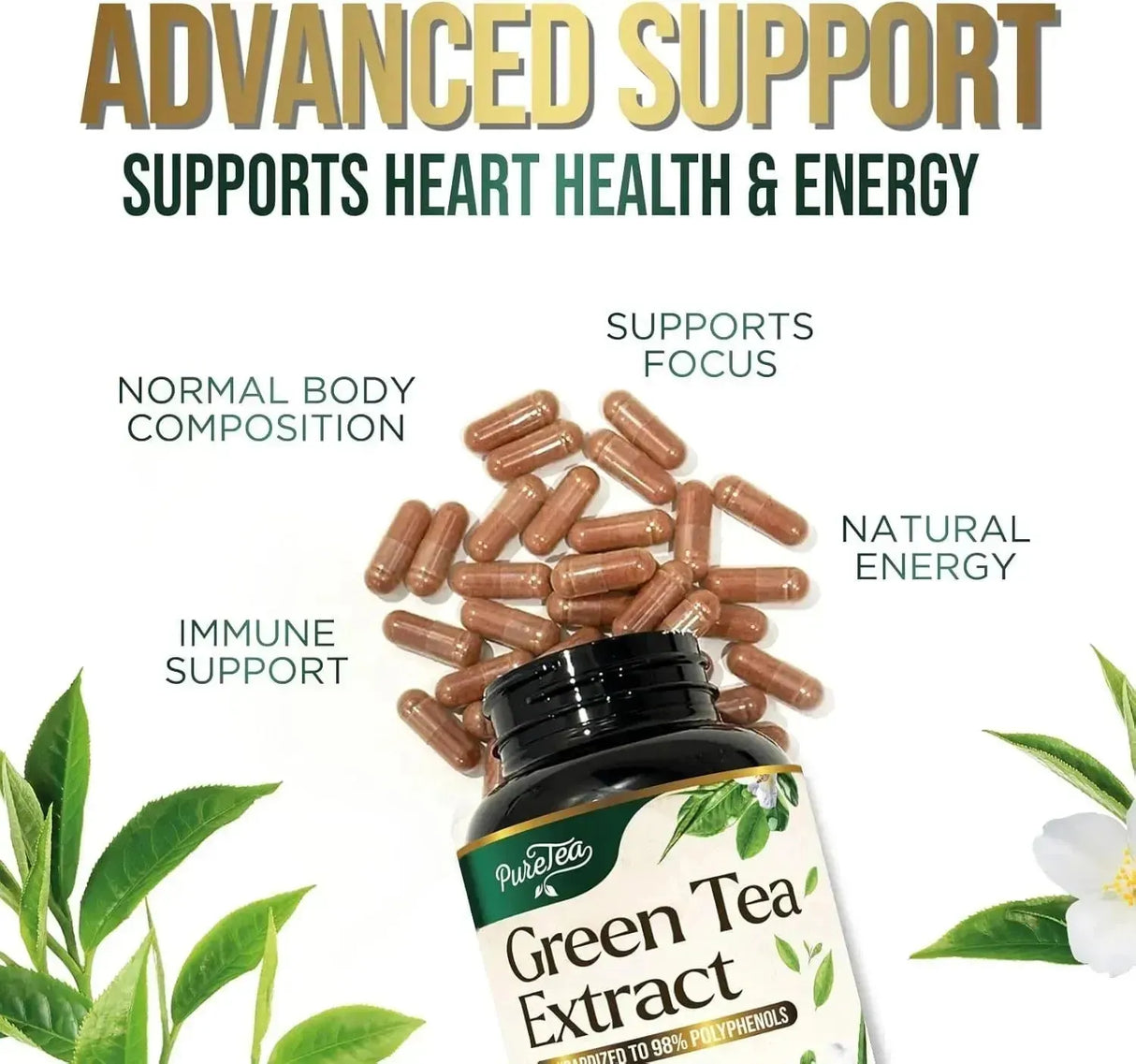 PURETEA - PureTea Green Tea Extract 1000Mg. 240 Capsulas - The Red Vitamin MX - Suplementos Alimenticios - {{ shop.shopifyCountryName }}