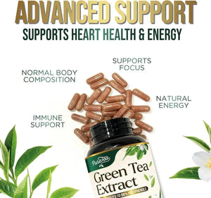 PURETEA - PureTea Green Tea Extract 1000Mg. 240 Capsulas - The Red Vitamin MX - Suplementos Alimenticios - {{ shop.shopifyCountryName }}
