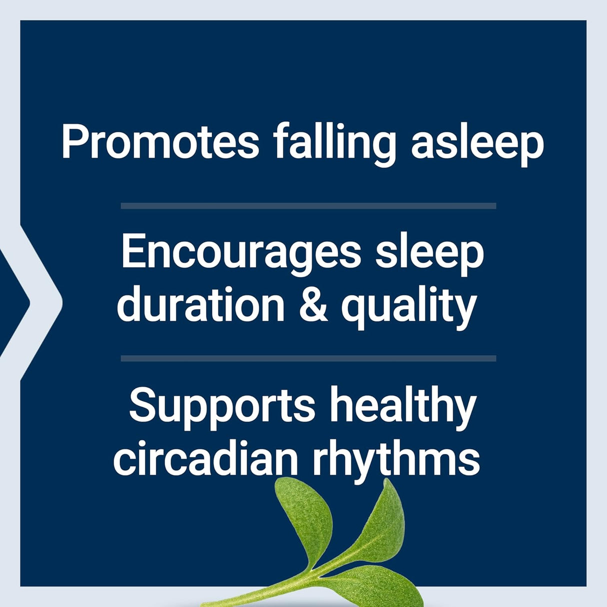 Life Extension Quiet Sleep Melatonin 5Mg. 60 Capsulas