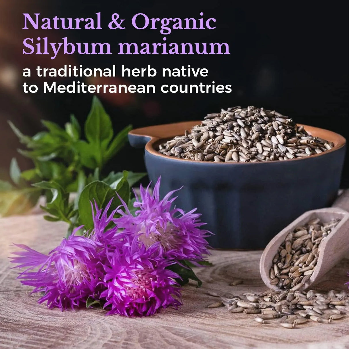 VITALITOWN - Vitalitown Organic Milk Thistle 600Mg. 120 Capsulas - The Red Vitamin MX - Suplementos Alimenticios - {{ shop.shopifyCountryName }}