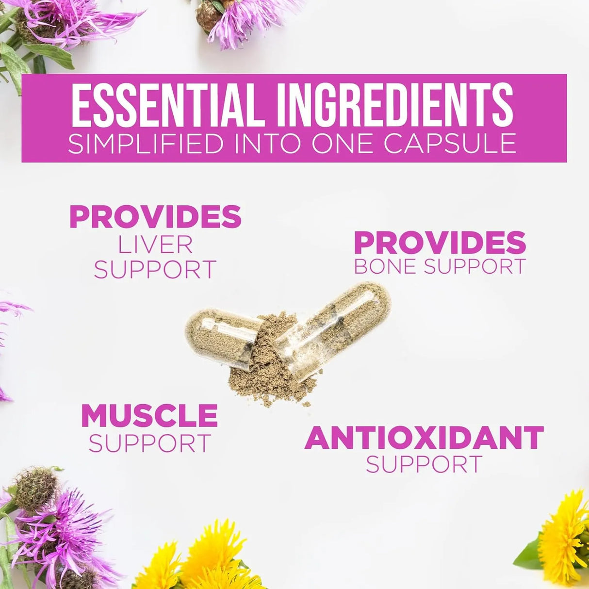 HEALTH NUTRITION NATURALS - Health Nutrition Naturals Milk Thistle Extract 1000Mg. 120 Capsulas - The Red Vitamin MX - Suplementos Alimenticios - {{ shop.shopifyCountryName }}
