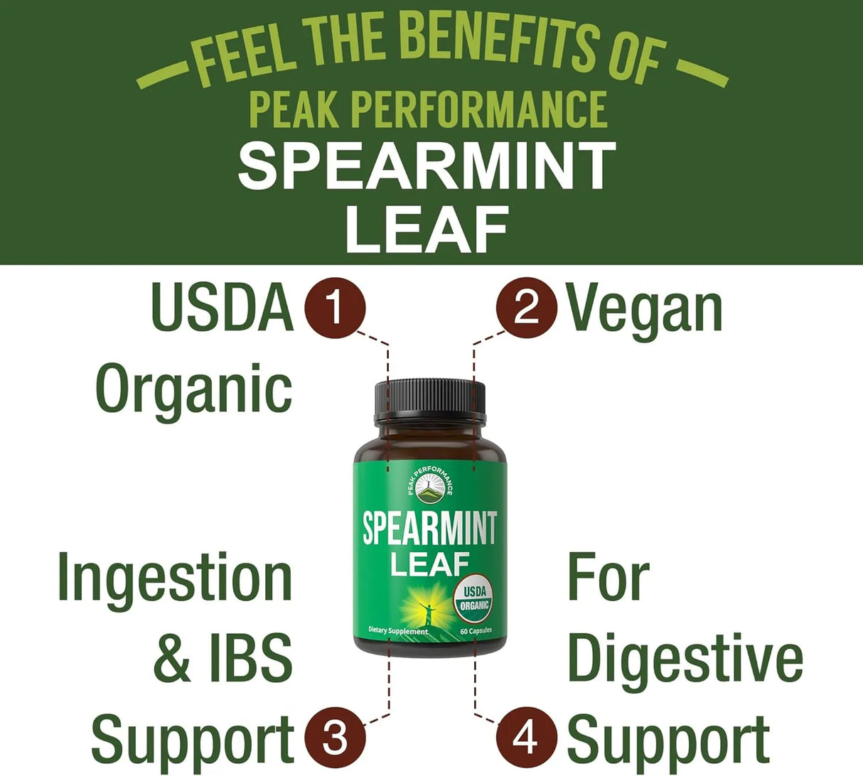 PEAK PERFORMANCE - Peak Performance Spearmint Leaf 60 Capsulas - The Red Vitamin MX - Suplementos Alimenticios - {{ shop.shopifyCountryName }}