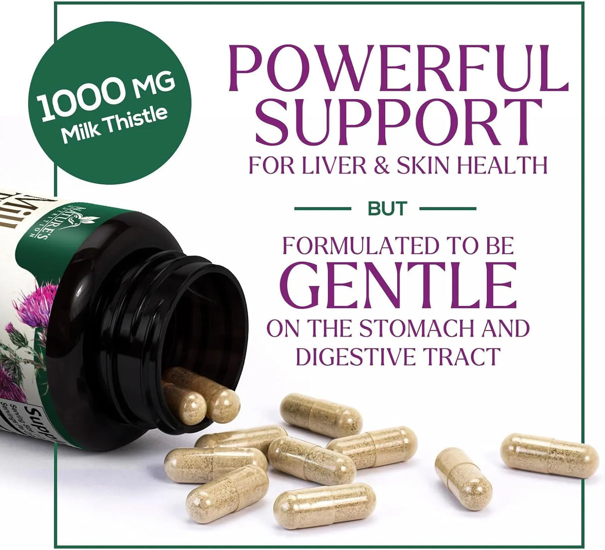 NATURE'S NUTRITION - Nature's Nutrition Milk Thistle 1000Mg. 120 Capsulas - The Red Vitamin MX - Suplementos Alimenticios - {{ shop.shopifyCountryName }}