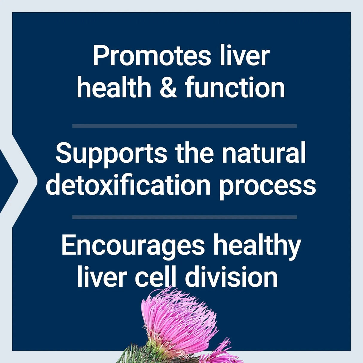 LIFE EXTENSION - Life Extension Advanced Milk Thistle 60 Capsulas - The Red Vitamin MX - Suplementos Alimenticios - {{ shop.shopifyCountryName }}