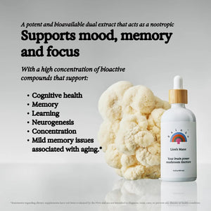 RAINBO - Rainbo Lion's Mane Mushroom Tincture 3.4 Fl.Oz. - The Red Vitamin MX - Suplementos Alimenticios - {{ shop.shopifyCountryName }}
