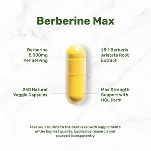 DEAL SUPPLEMENT - Deal Supplement Berberine Max 5,000Mg. 240 Capsulas - The Red Vitamin MX - Suplementos Alimenticios - {{ shop.shopifyCountryName }}