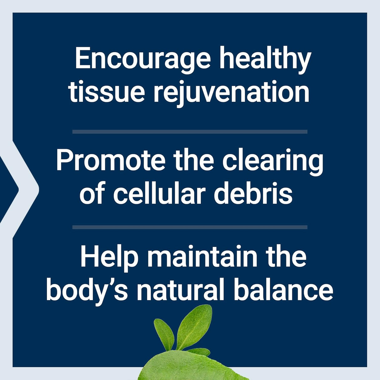 Life Extension Pro-Resolving Mediators 30 Capsulas Blandas