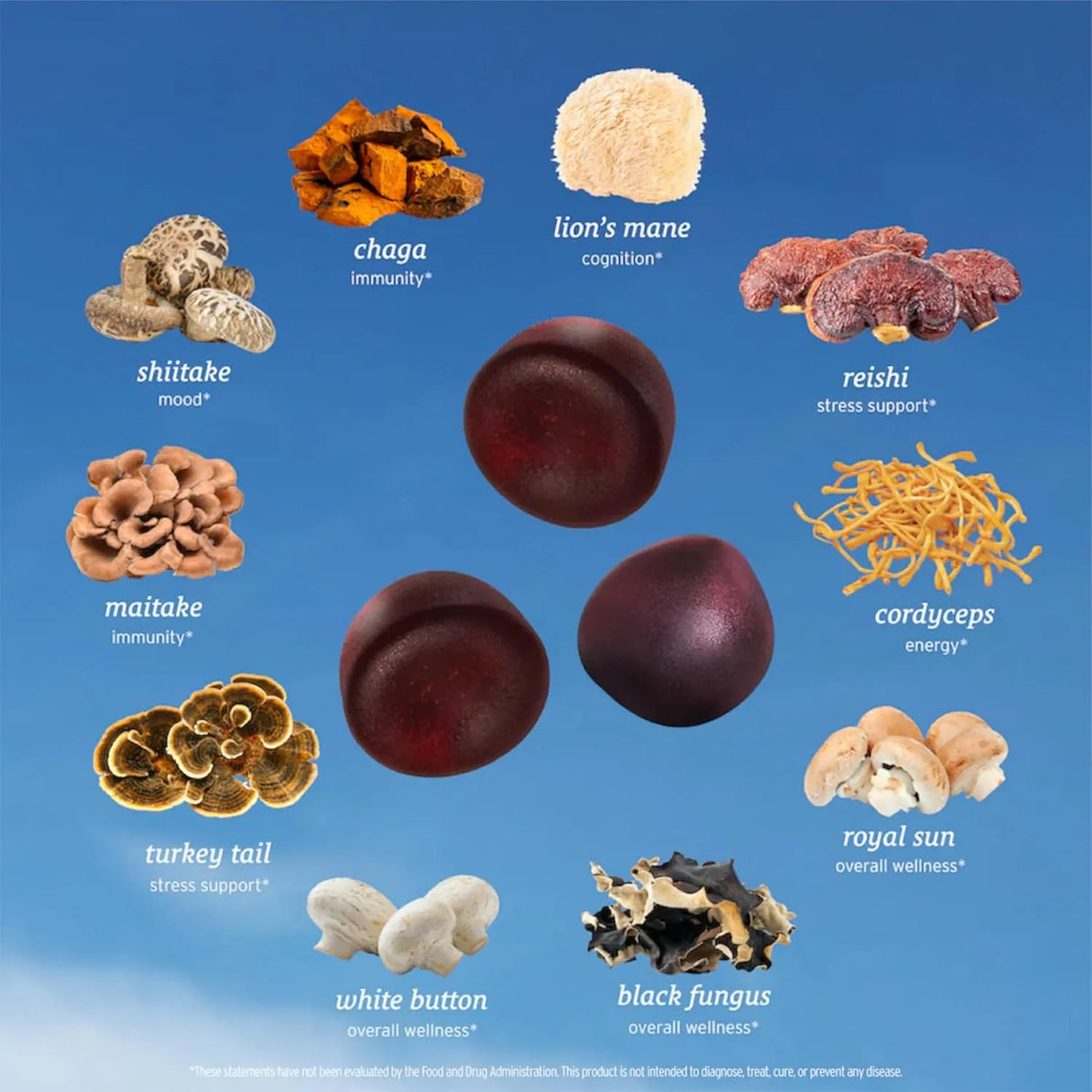 SUNMED - SUNMED All-in-One Mushroom Gummy 60 Gomitas - The Red Vitamin MX - Suplementos Alimenticios - {{ shop.shopifyCountryName }}