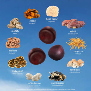 SUNMED - SUNMED All-in-One Mushroom Gummy 60 Gomitas - The Red Vitamin MX - Suplementos Alimenticios - {{ shop.shopifyCountryName }}