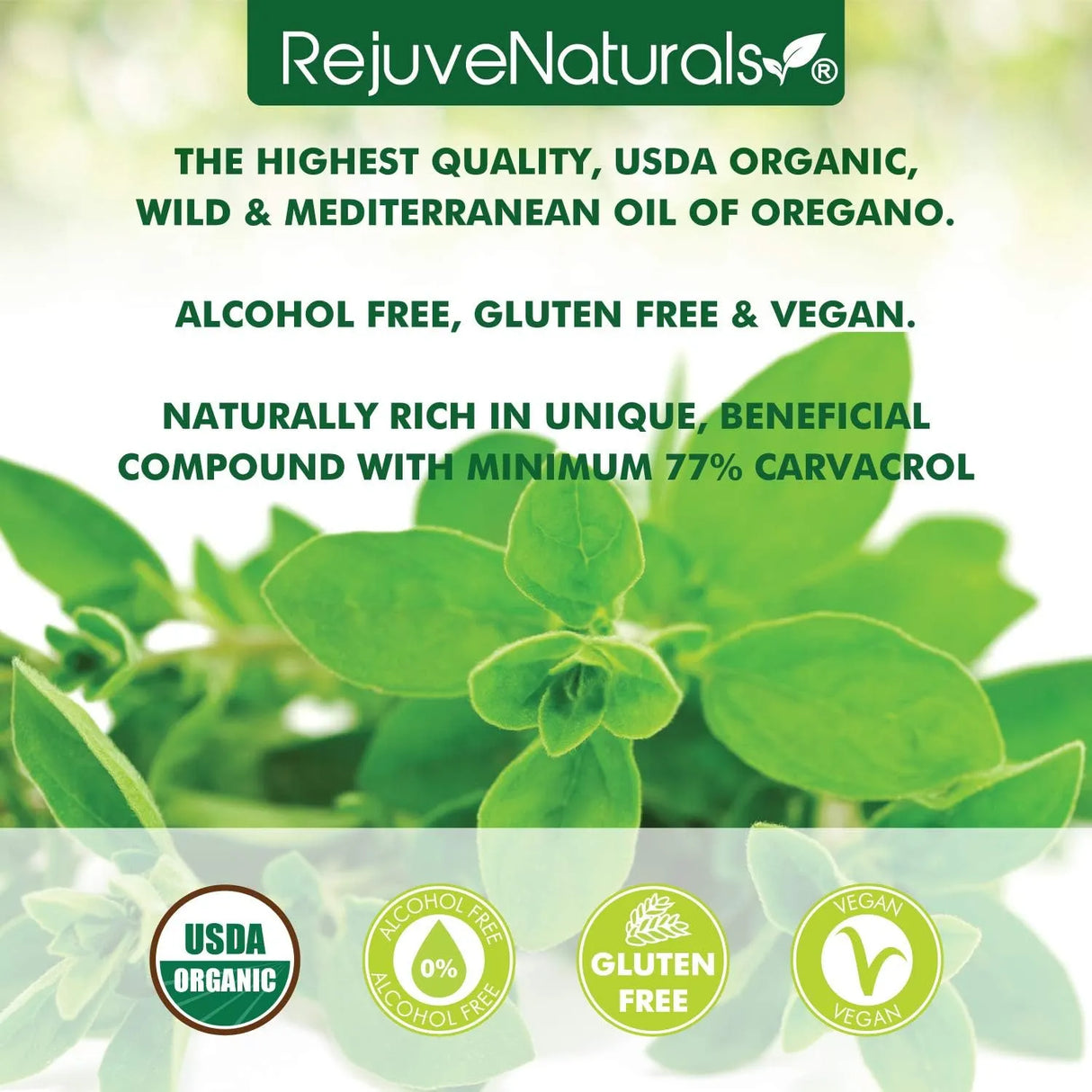 REJUVENATURALS - RejuveNaturals Oil of Oregano 30Ml. - The Red Vitamin MX - Suplementos Alimenticios - {{ shop.shopifyCountryName }}