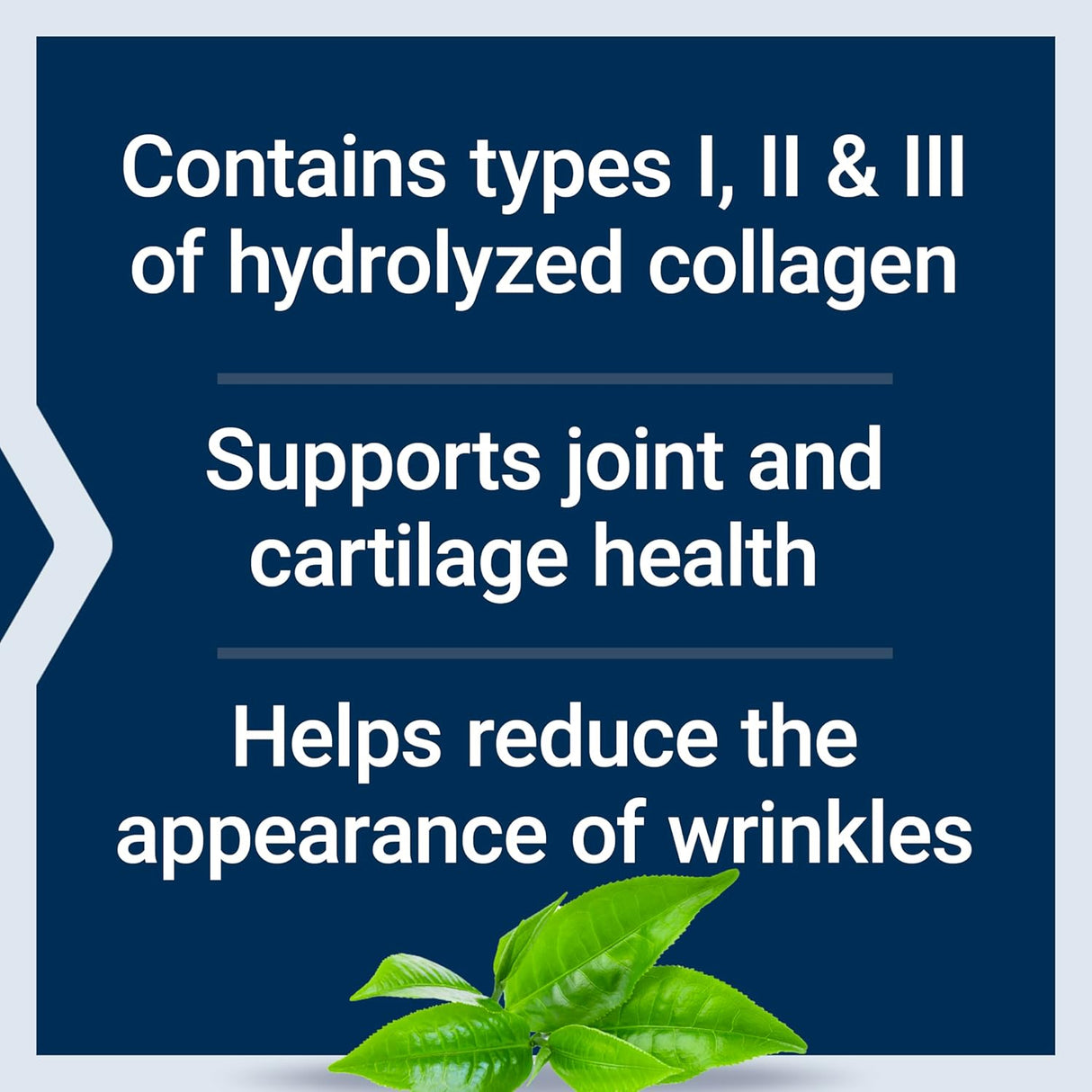 Life Extension Collagen Peptides for Skin & Joints 343Gr.