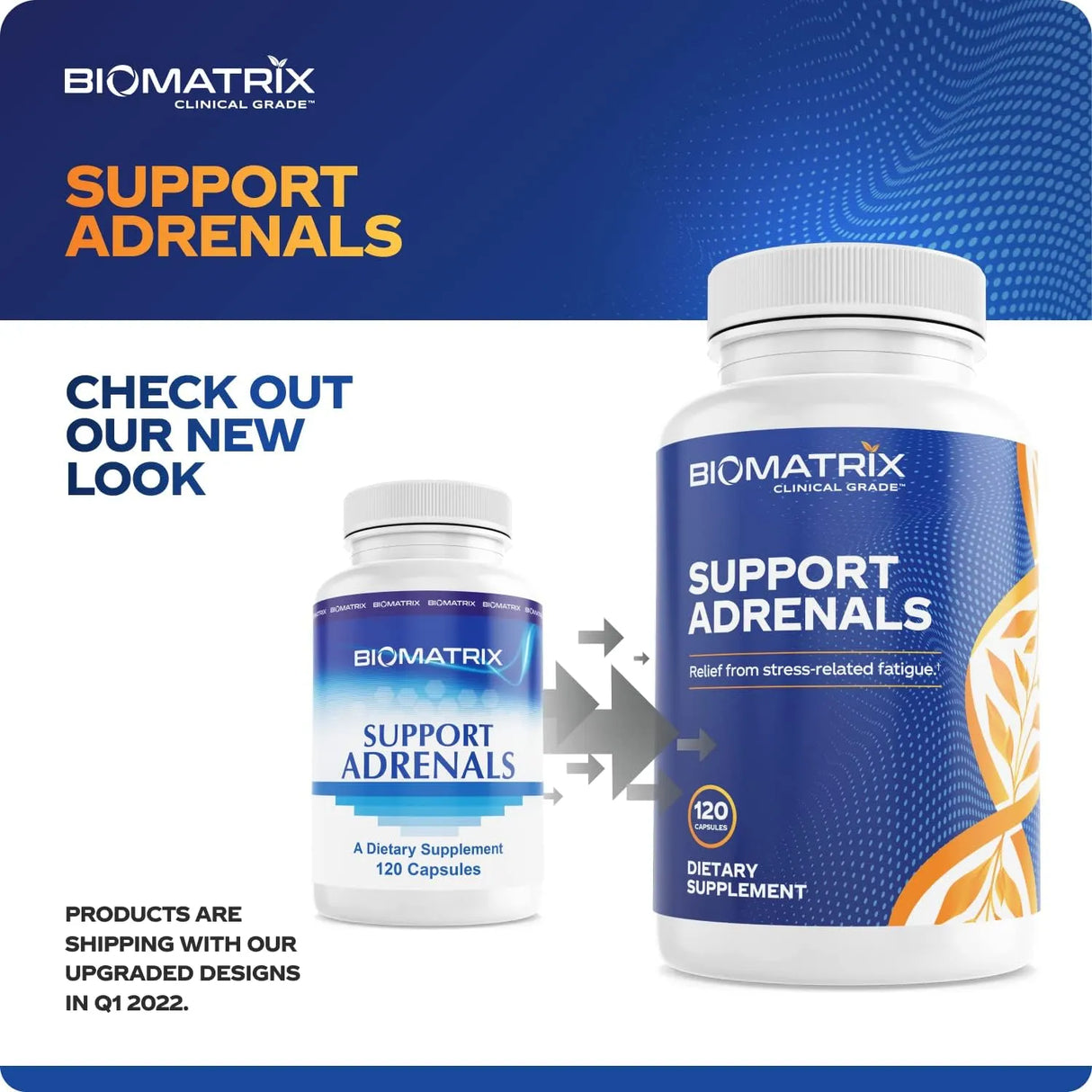 BIOMATRIX - BioMatrix Adrenal Support 120 Capsulas - The Red Vitamin MX - Suplementos Alimenticios - {{ shop.shopifyCountryName }}